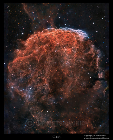 A Gemini SNR, IC 443, the "Jellyfish Nebula"