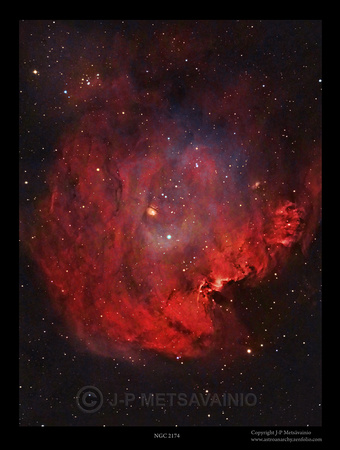 NGC 2174, the Monkey Head