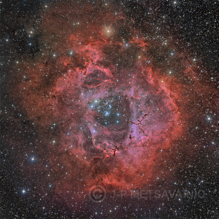 NGC 2244, the Rosette nebula