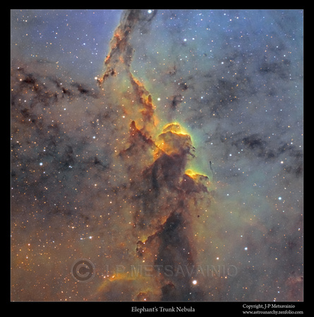 Elephant's Trunk Nebula, IC 1396