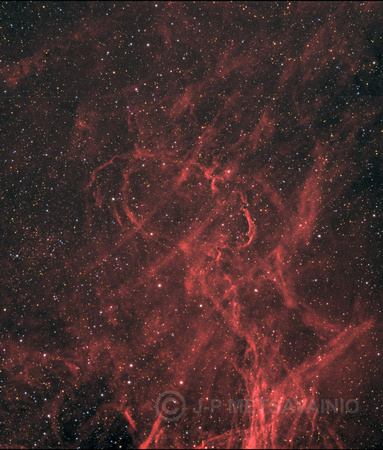 Filaments in constellation Cygnus, a Cosmic Lasso