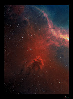 LDN 1622, a dark nebula in Orion