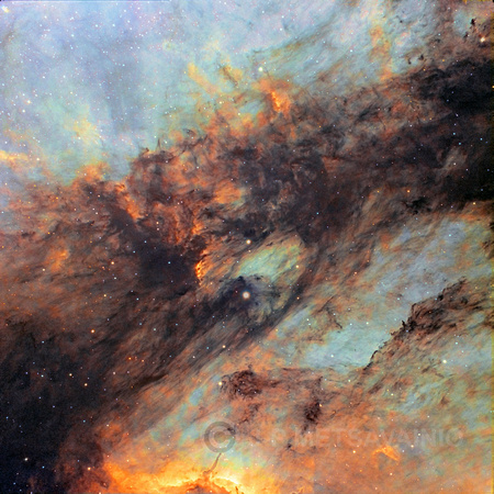 Dark filaments in Pelican nebula