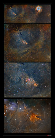 Cone Nebula zoom in