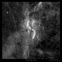 DWB111, the Propelle nebula