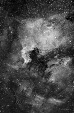 Noth America Nebula & Pelican Nebula, NGC 7000 & IC 5070