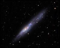 NGC 55, irregular galaxy in constellation Sulptor