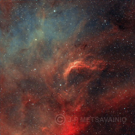 NGC 7000 detail