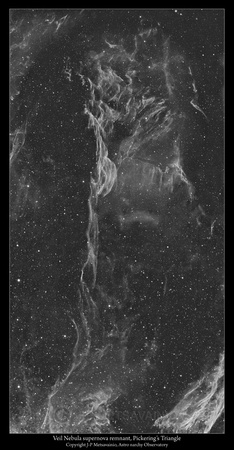 Veil Nebula, the Pickering's Triangle as a two frame mosaic