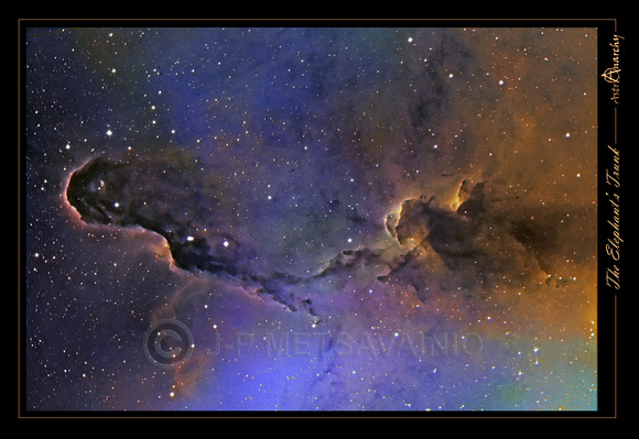 Elephant's Trunk Nebula