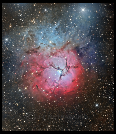 M20, the Triffid nebula