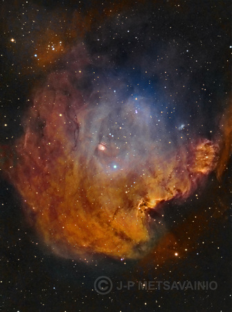 NGC 2175 and Sh2-252, the "Monkey head nebula"