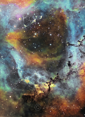 Caldwell 49, the "Rosette Nebula", a closeup