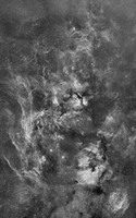 18 panel mosaic of Cygnus Nebulae, 22 x 14 degrees