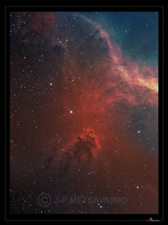 LDN 1622, a dark nebula in Orion