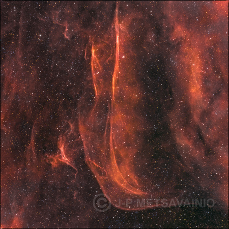Filaments in constellation Cygnus