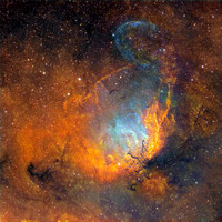 Tulip Nebula and a Black Hole Cygnus X-1