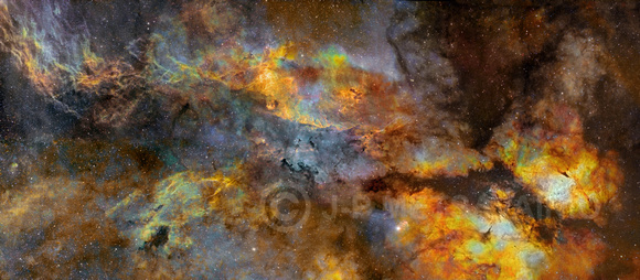 Nebulae of the Central Cygnus