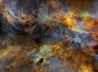 Nebulae of the Central Cygnus