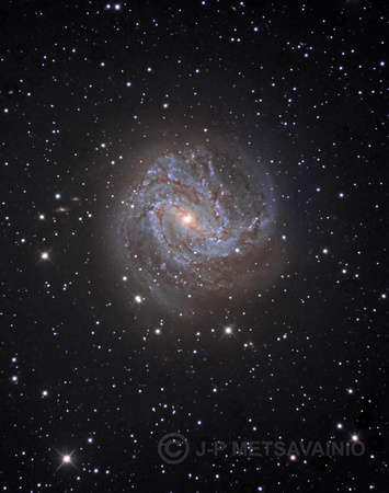 M83, the "Southern Pinwheel"