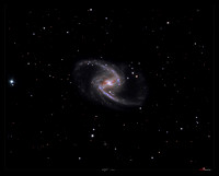 NGC 1365, the "Great Barred Spiral Galaxy"