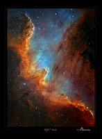 NGC 7000, the "North America" nebula closeup