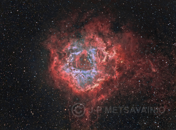 Caldwell 49, the "Rosette Nebula"