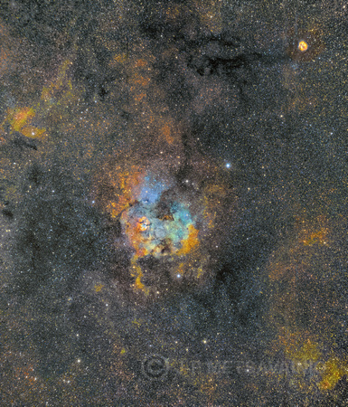 Sharpless 124 and the Cocoon Nebula