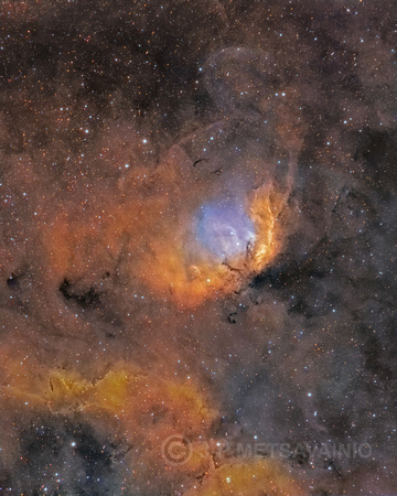 Tulip Nebula, Sharpless 101