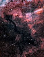 Dark nebulae in Cygnus