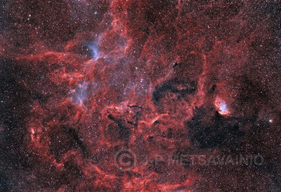 The Tulip Nebula, Sharpless object Sh2-101
