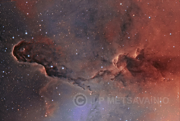 Elephant's Trunk Nebula, inside IC 1396