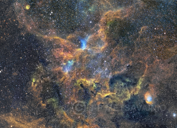 The Tulip Nebula, Sharpless object Sh2-101