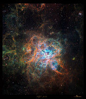 NGC 2070, the "Tarantula Nebula"