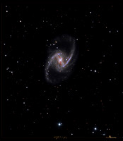 NGC 1365, the "Great Barred Spiral Galaxy"